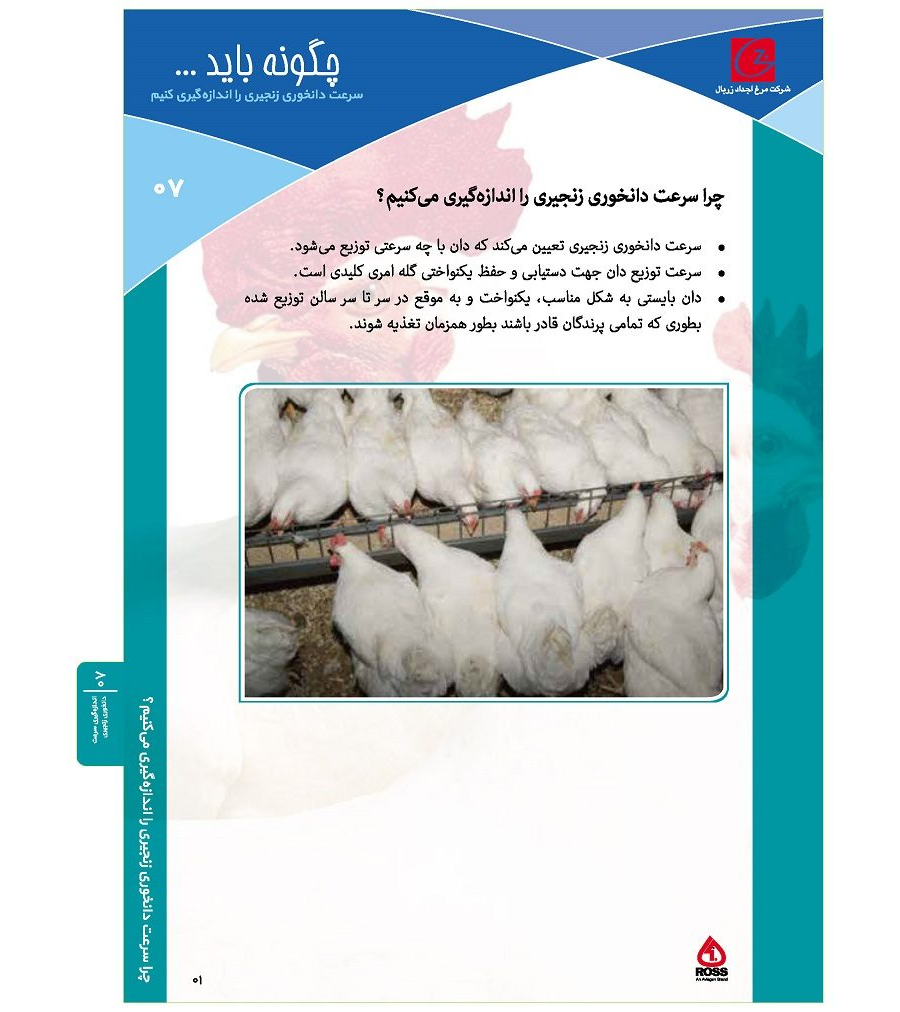 اندازه گیری سرعت دانخوری زنجیری