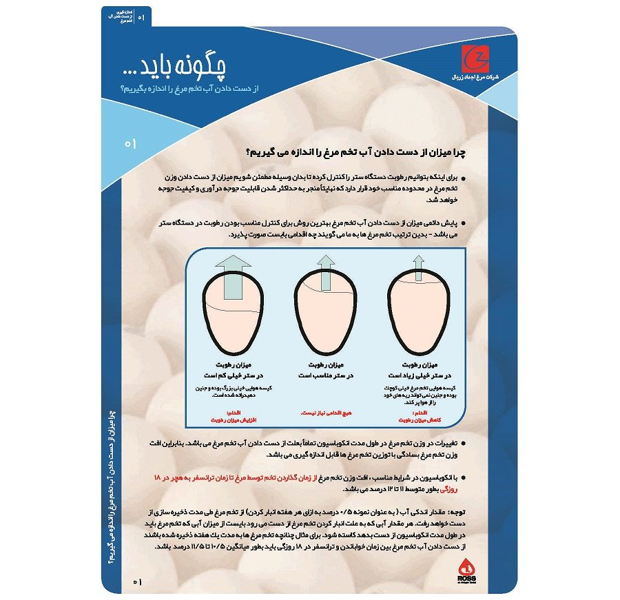 از دست دادن آب تخم مرغ
