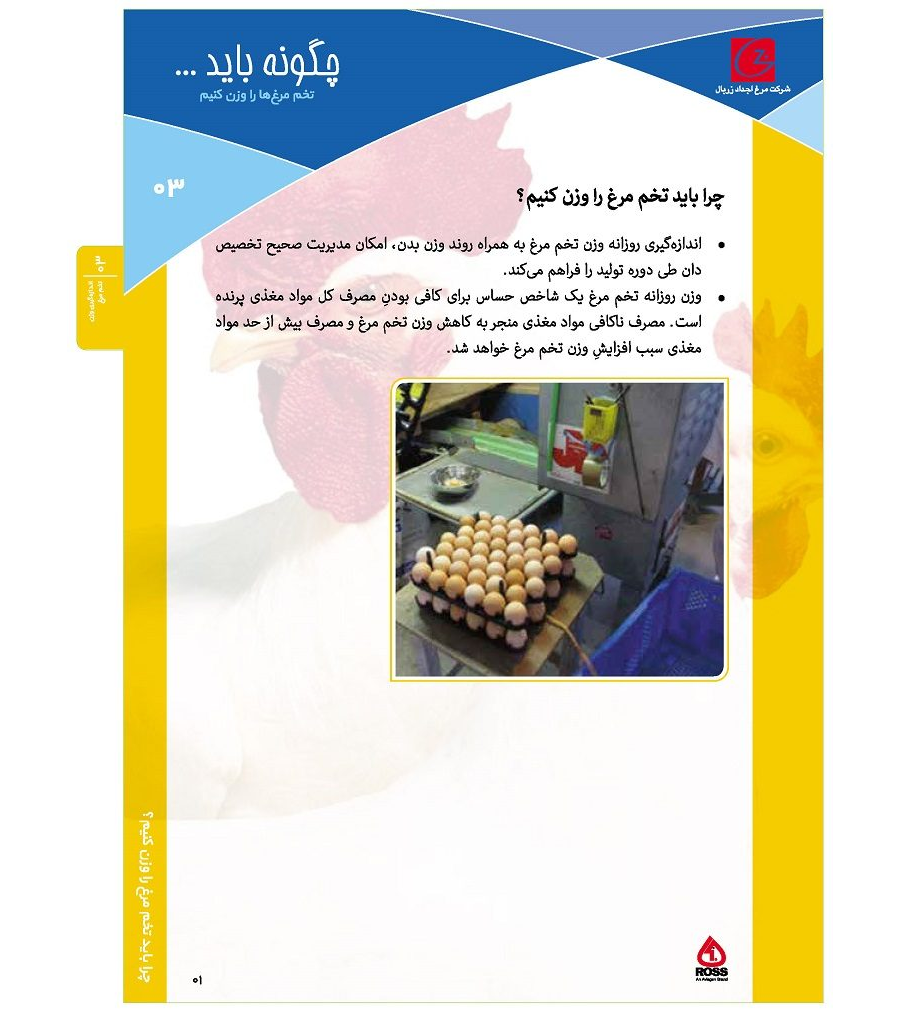 اندازه گیری وزن تخم مرغ