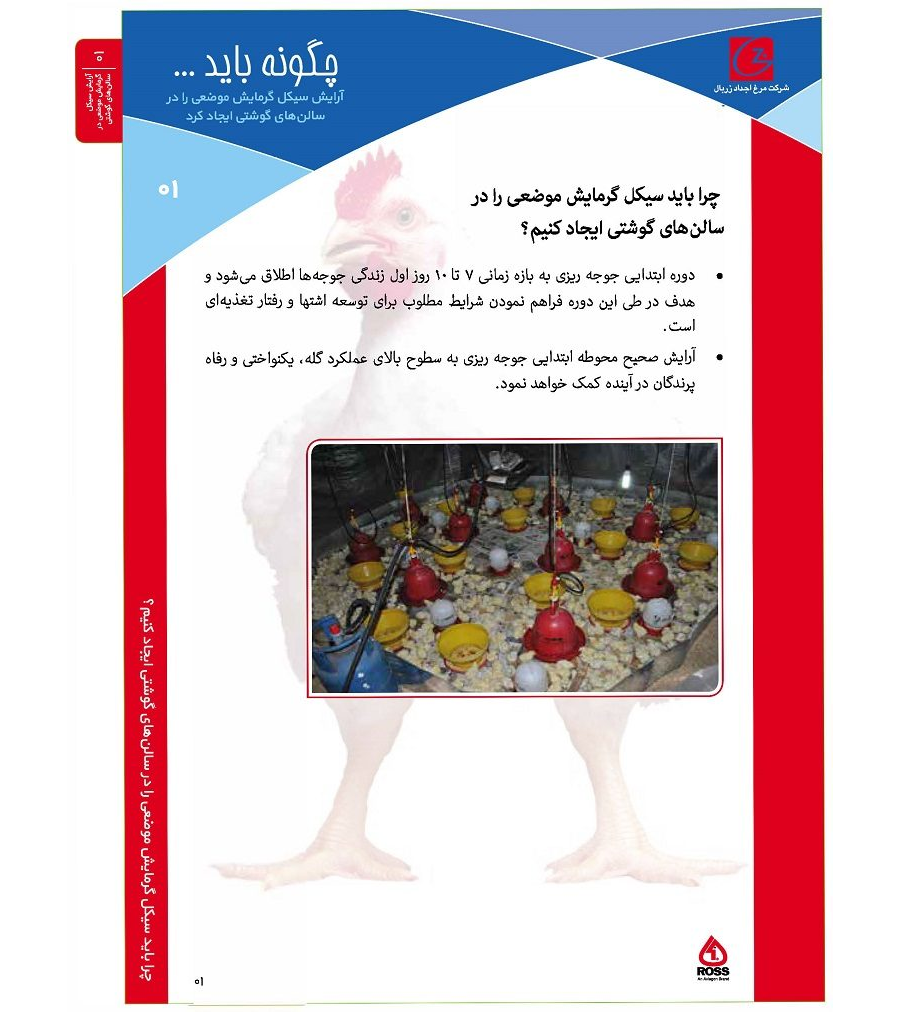 آرایش سیکل گرمایش موضعی در سالن‌های گوشتی