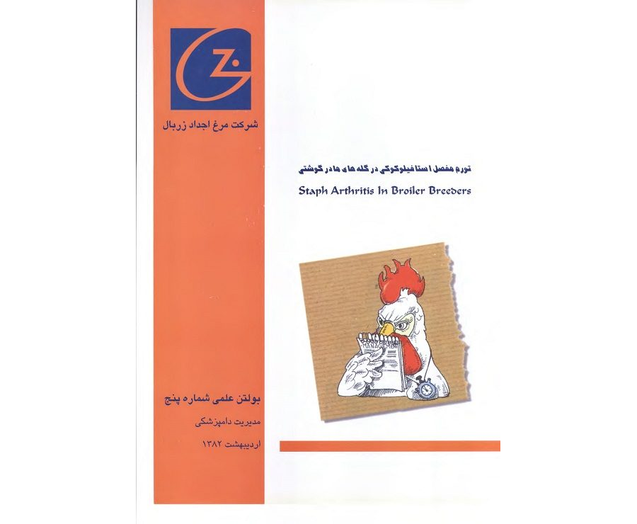 تورم مفصل استافیلوکوکی در گله‌های مادر گوشتی
