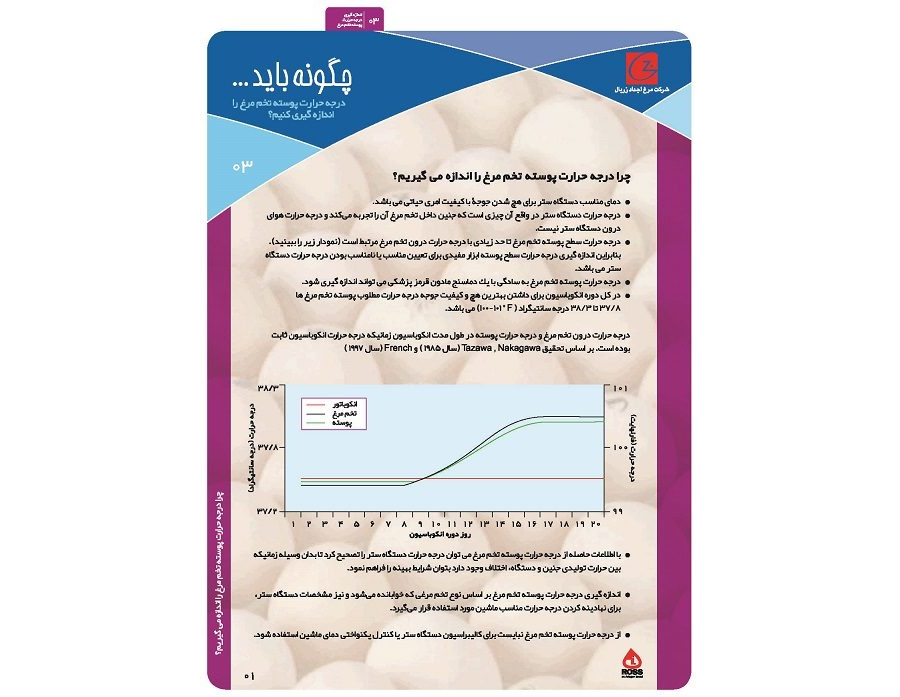 حرارت پوسته تخم مرغ