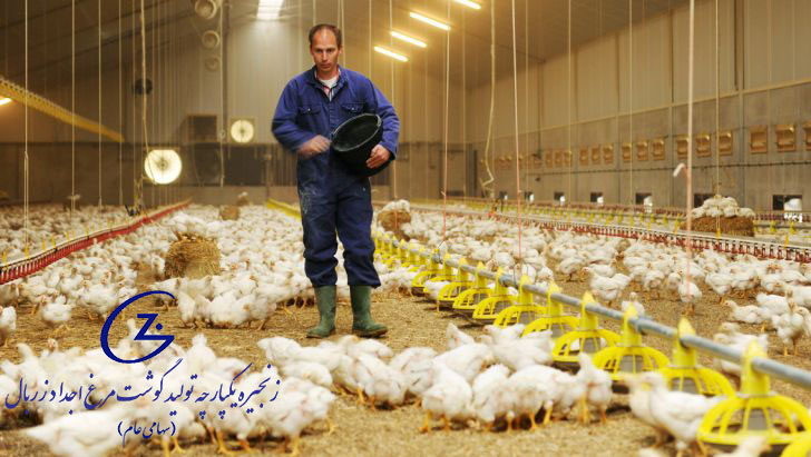 ۱۲۸۰-poultry-farming1