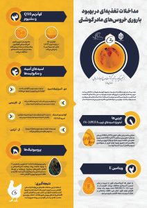 اینفو-شماره2