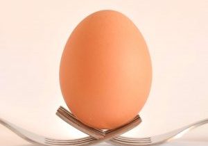 an-egg