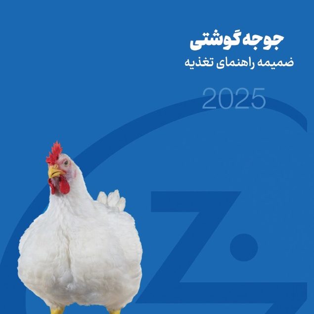 gushti-zamime1405